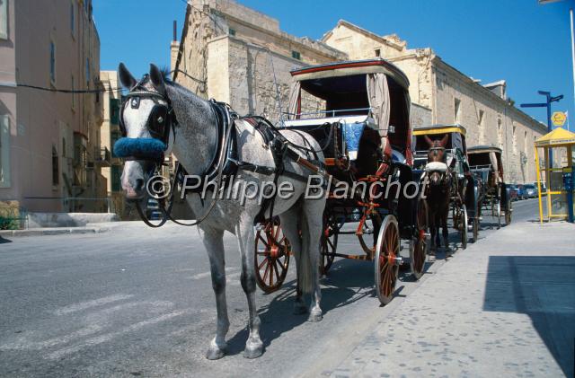 malte 22.JPG - Tour de la capitale en calècheLa ValetteMalte